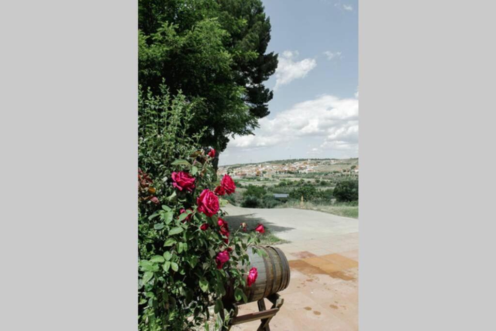 Villa Casa Cueva Piena, Alcudia De Guadix Extérieur photo