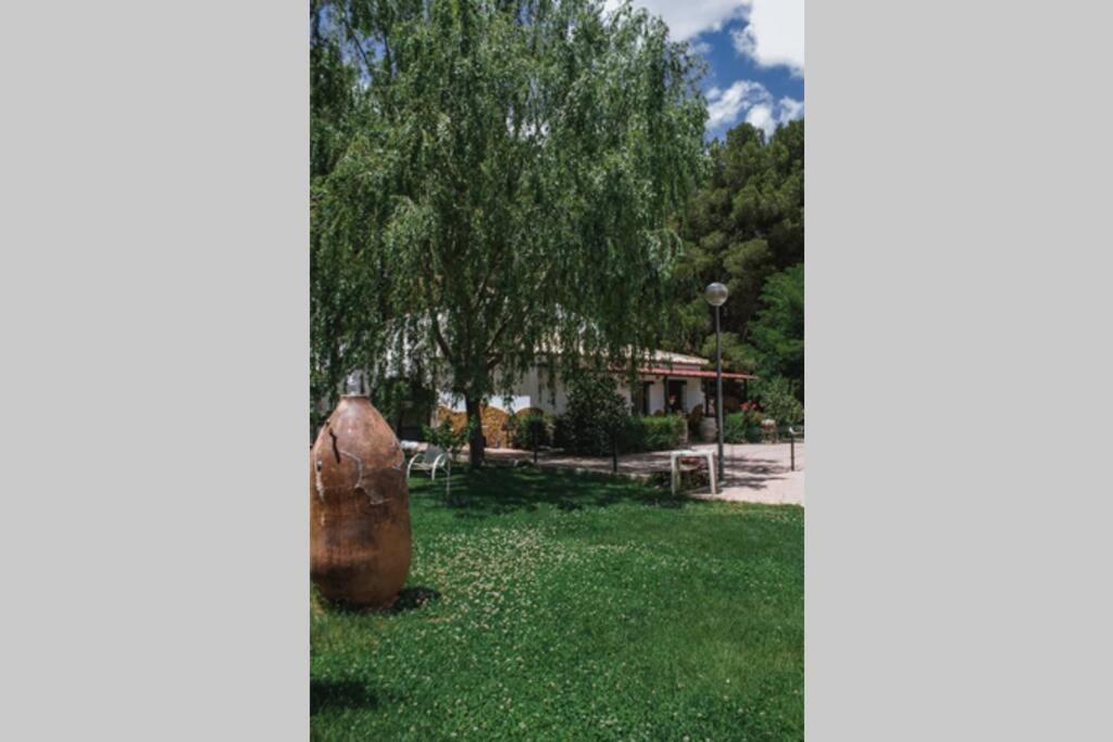 Villa Casa Cueva Piena, Alcudia De Guadix Extérieur photo